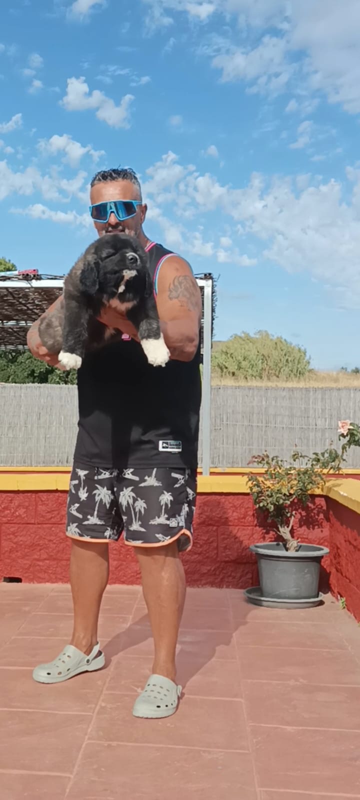 Criadero Pastor del Cáucaso Gibracan