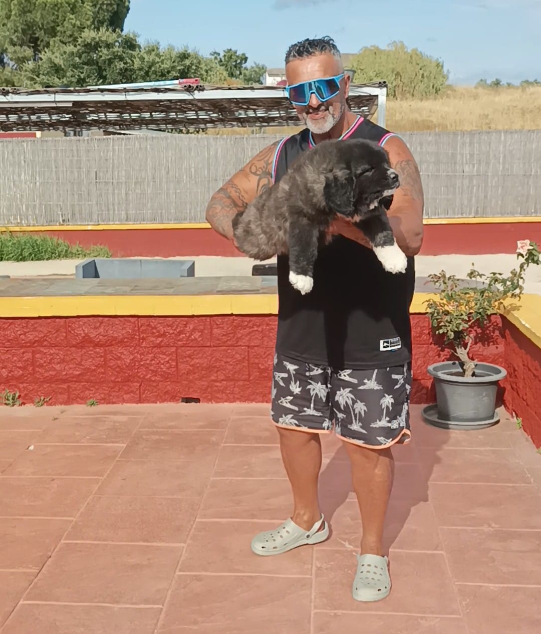 Criadero Pastor del Cáucaso Gibracan
